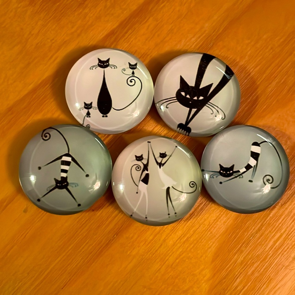 Cat Circular Silly Magnets